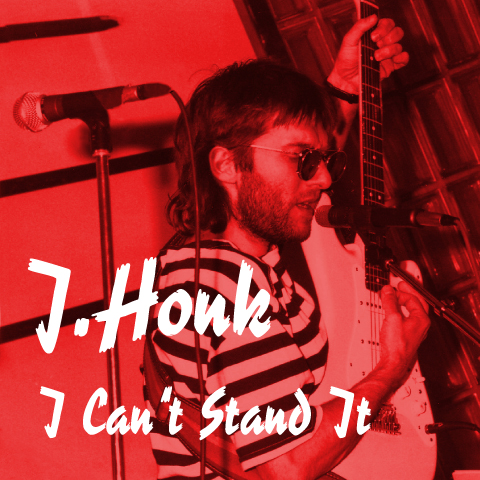 Cover: I Can't Stand It